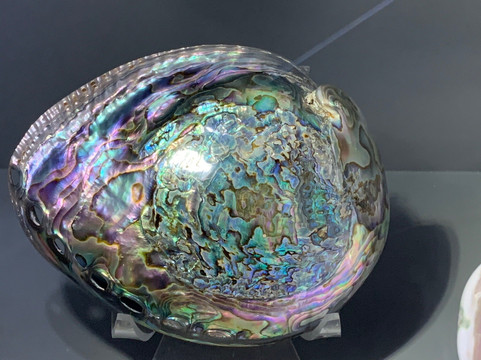 Musée de la Nacre - Gallet Nacres-Ile d'Aix必去景点