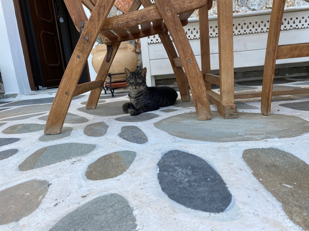 卡斯蒂略酒店主图