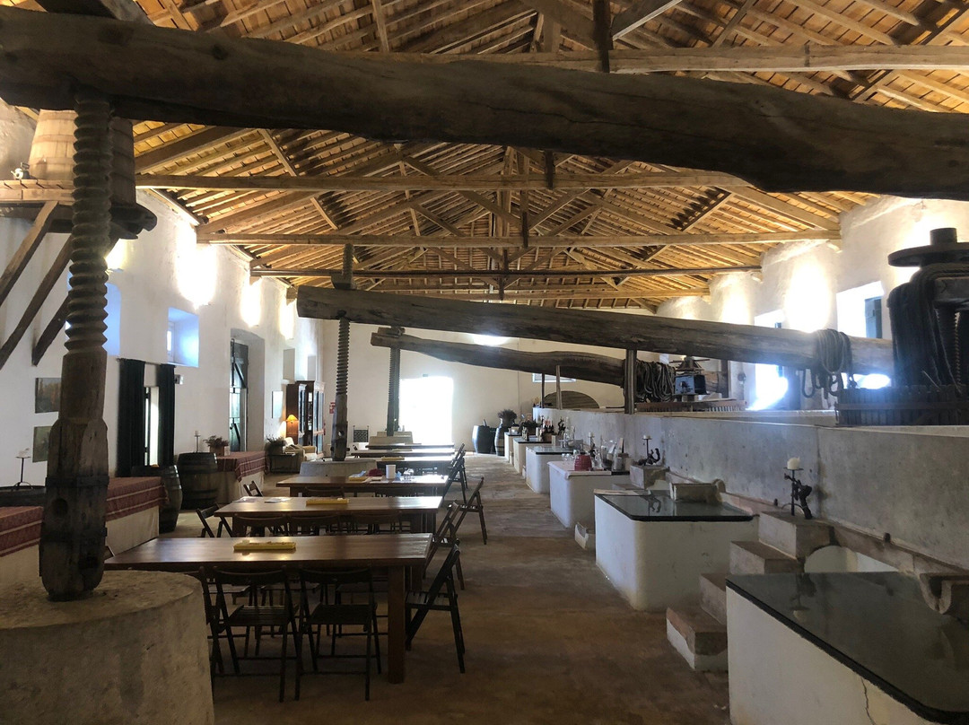 Quinta do Sanguinhal景点图片