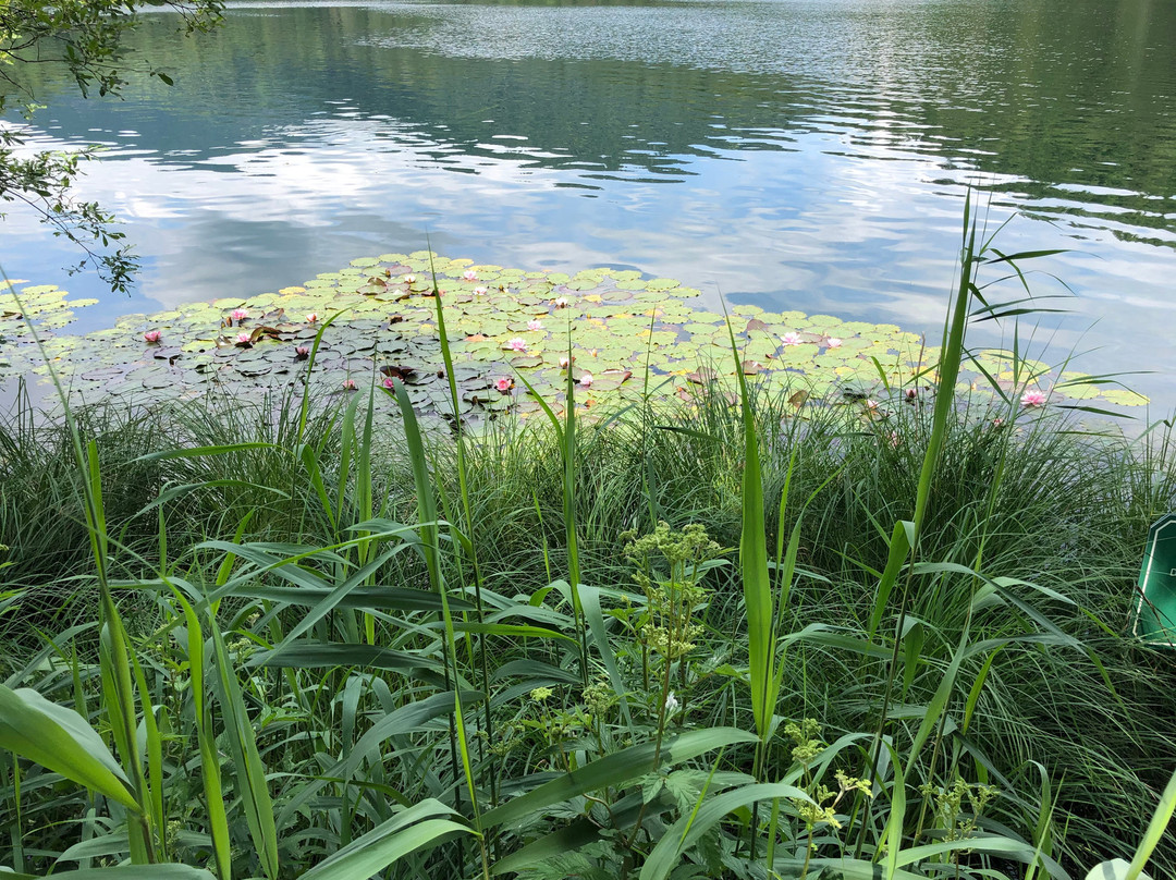 Hechtsee-库夫石必去景点