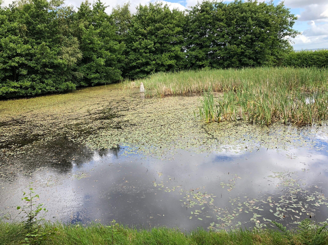 Sonderho Gl. Fuglekoje-法诺必去景点