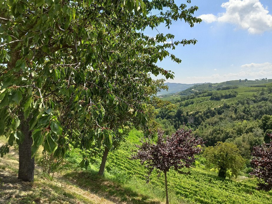 Azienda Agricola Terrabianca景点图片