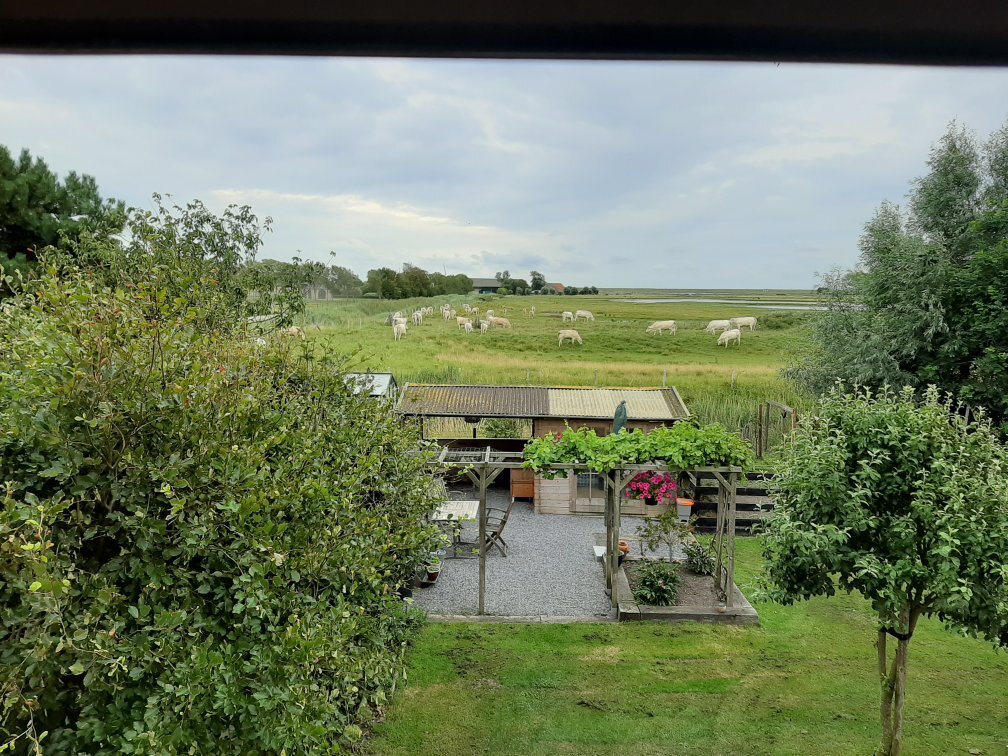 Bed & Breakfast De Rietgors-官方