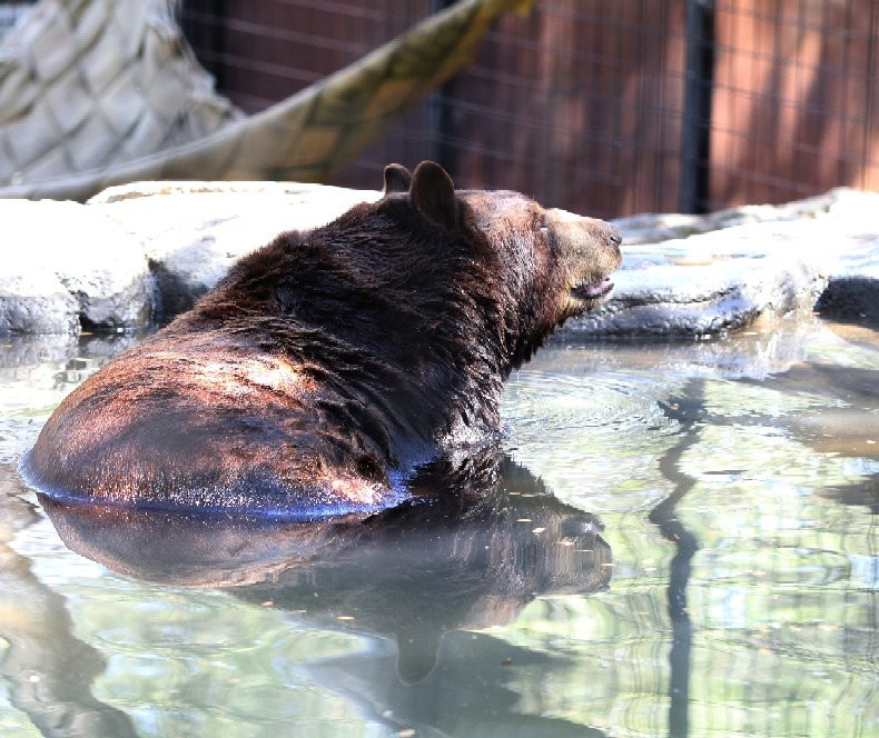 Folsom City Zoo Sanctuary-佛森必去景点