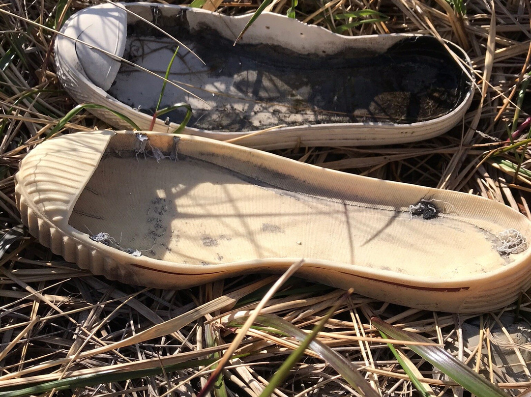 lucky Private Tour-Stanley必去景点