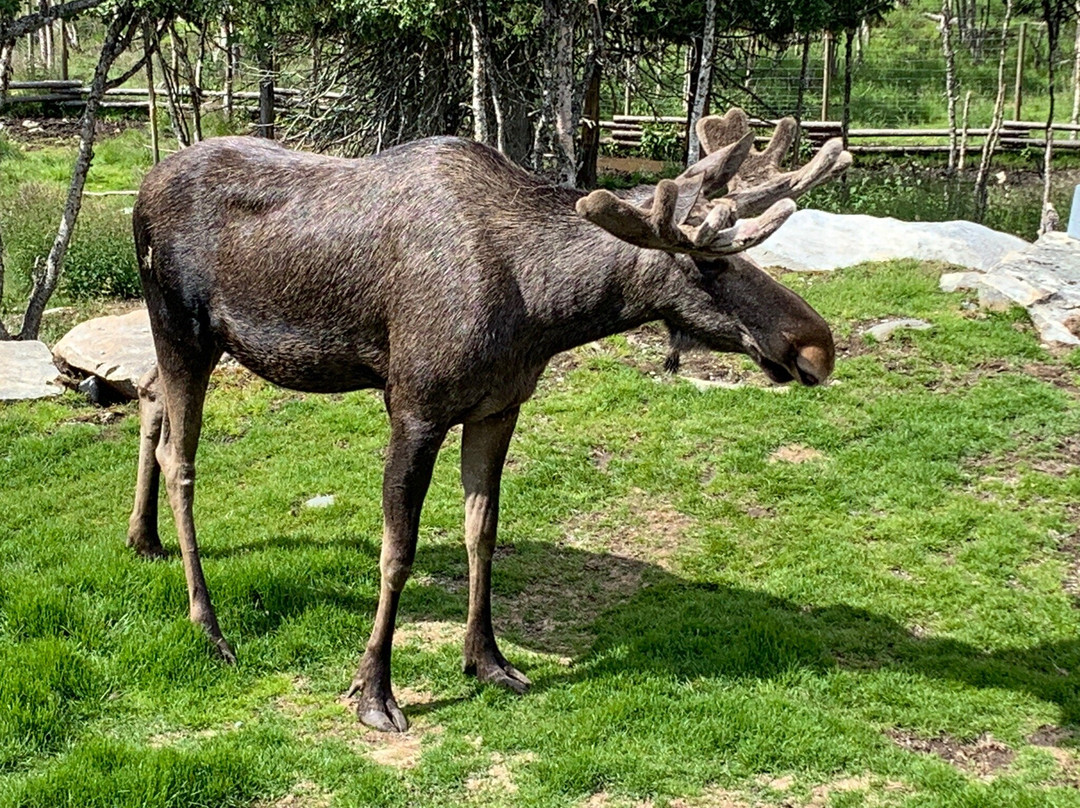Langedrag Naturpark主图