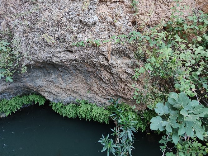 Iyon Stream Nature Reserve-Metulla必去景点