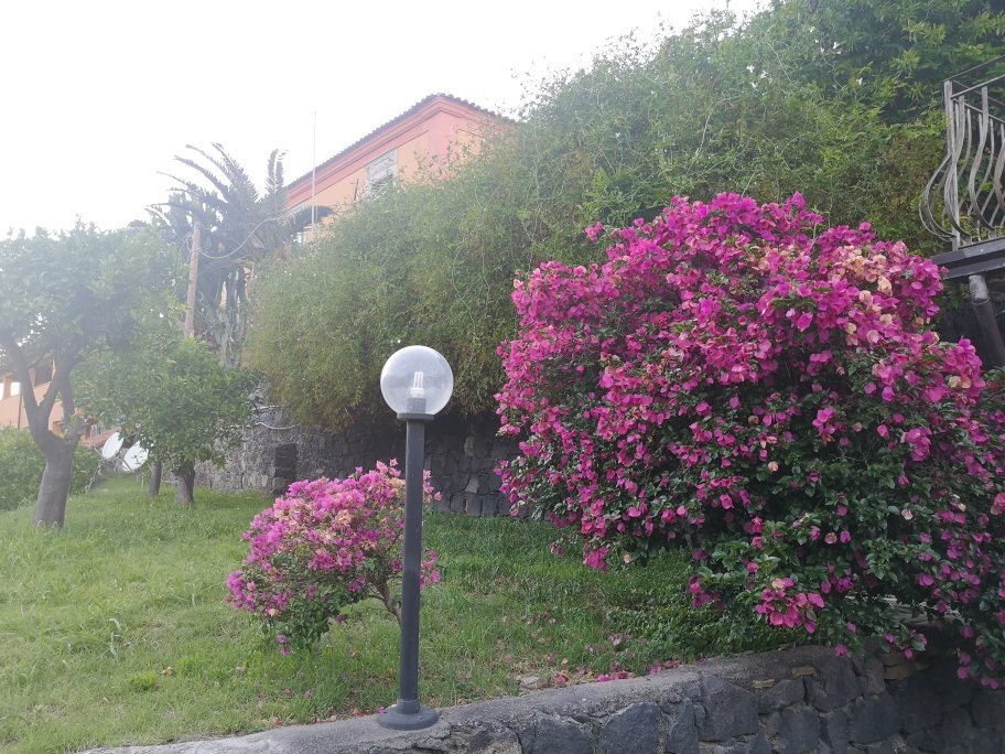 Casale Romano Resort主图