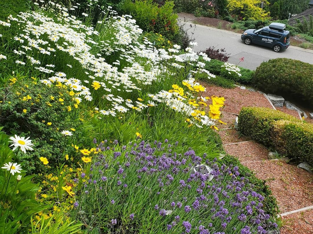 Apple Blossom Bed & Breakfast主图