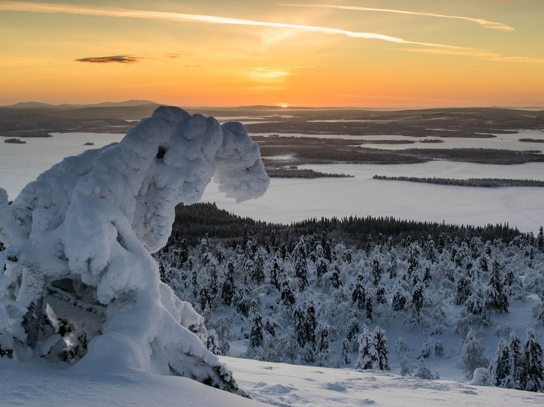 Wildmaker Lapland景点图片