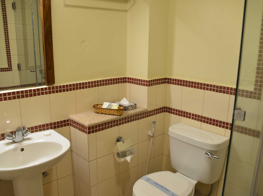 Venus Premier Hotel主图