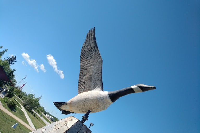 Giant Goose Statue景点图片