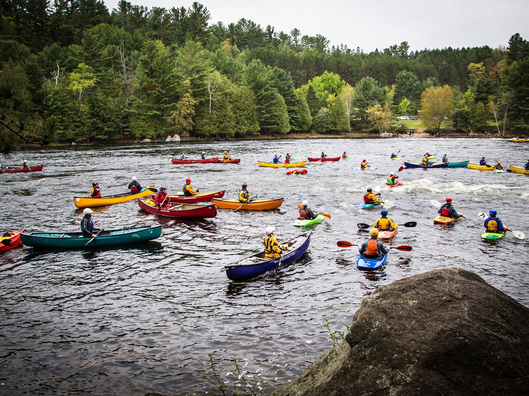 Paddler Co-op-Palmer Rapids必去景点