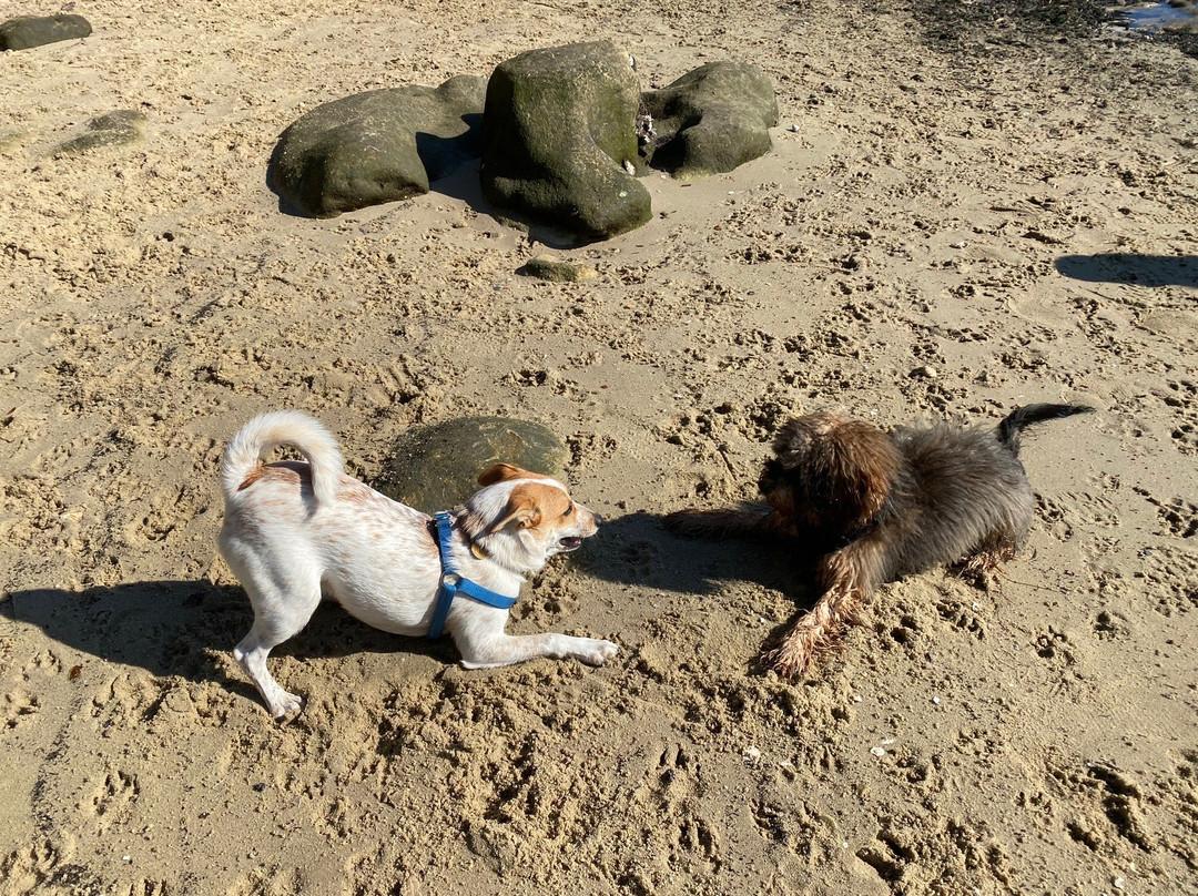 Callan Park-罗泽尔必去景点