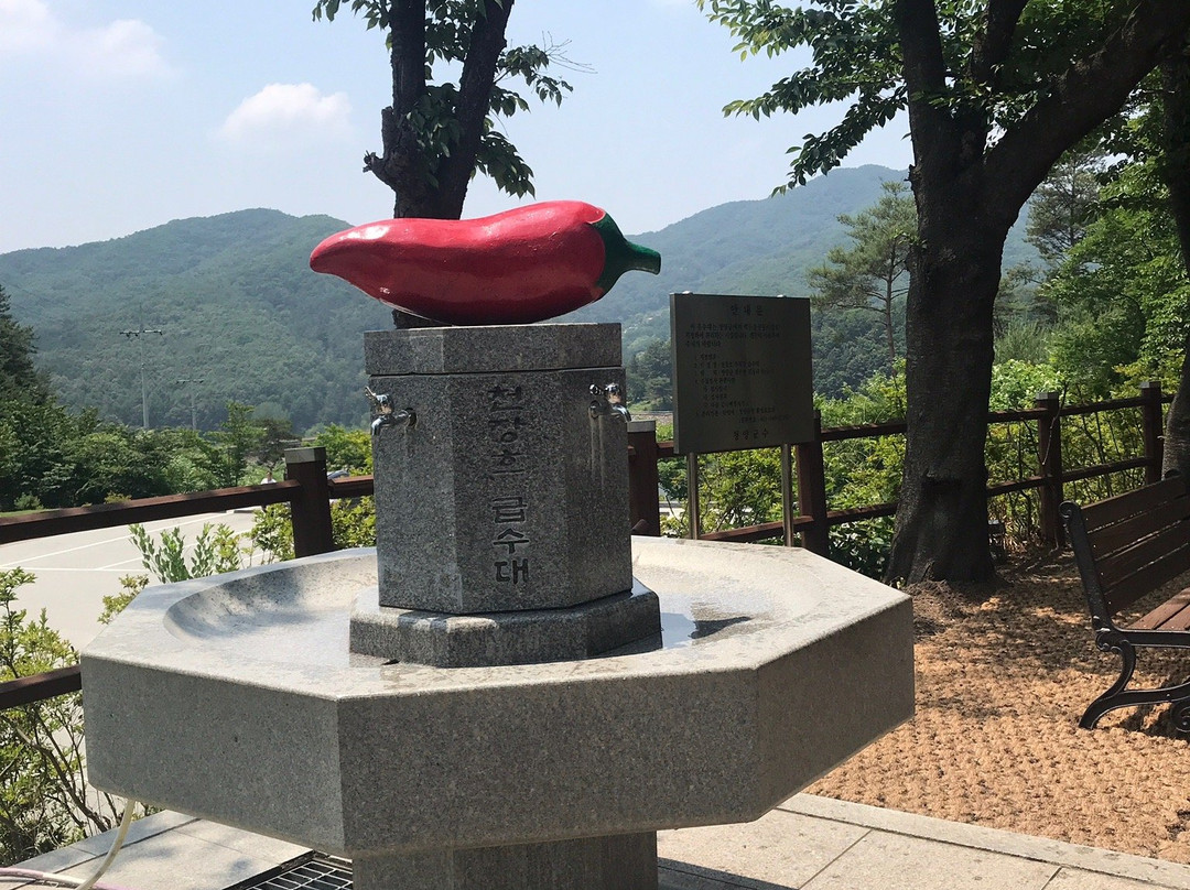 Cheonjang Lake Suspension Bridge-青阳郡必去景点