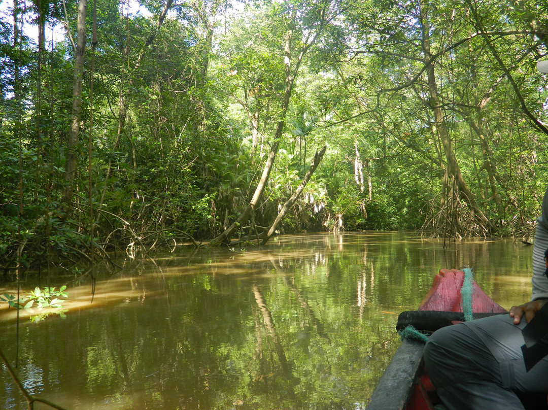 Furo do Miguelão-Ilha do Marajo必去景点