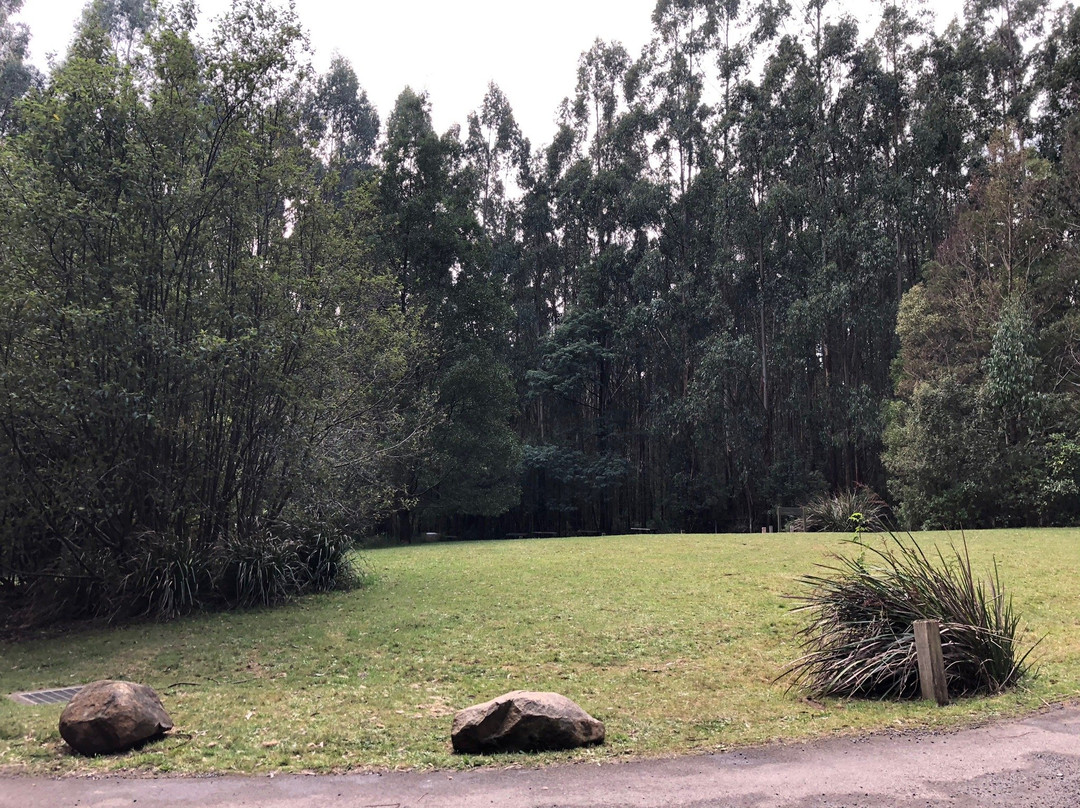 O'Donohue Picnic Ground-希尔布鲁克必去景点