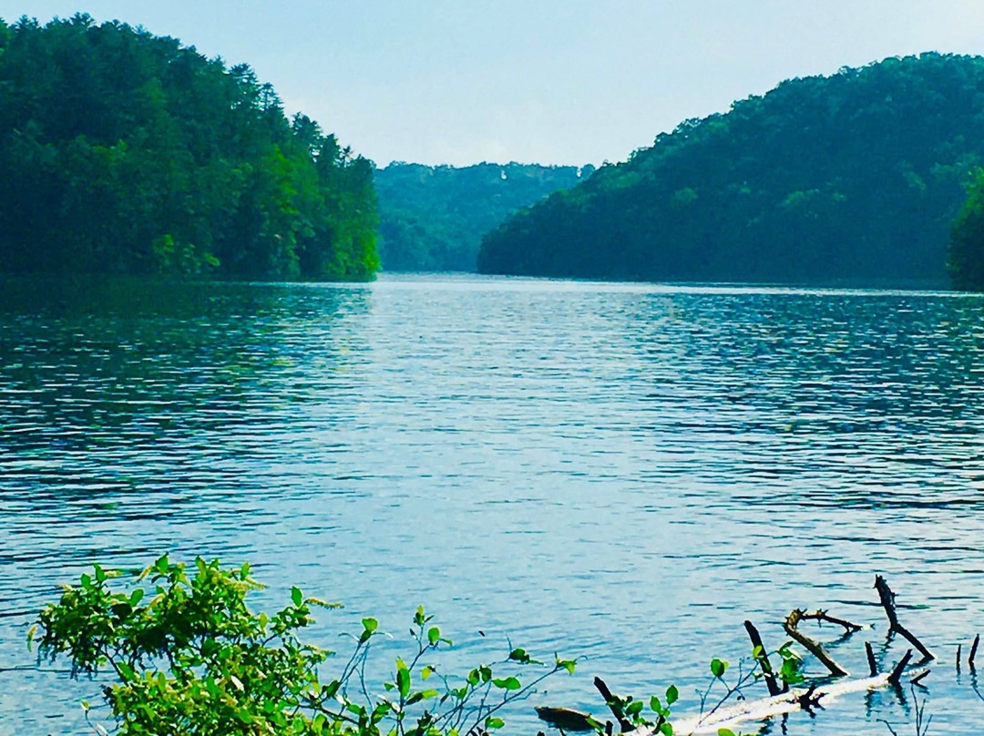 Apalachia Lake Tours景点图片