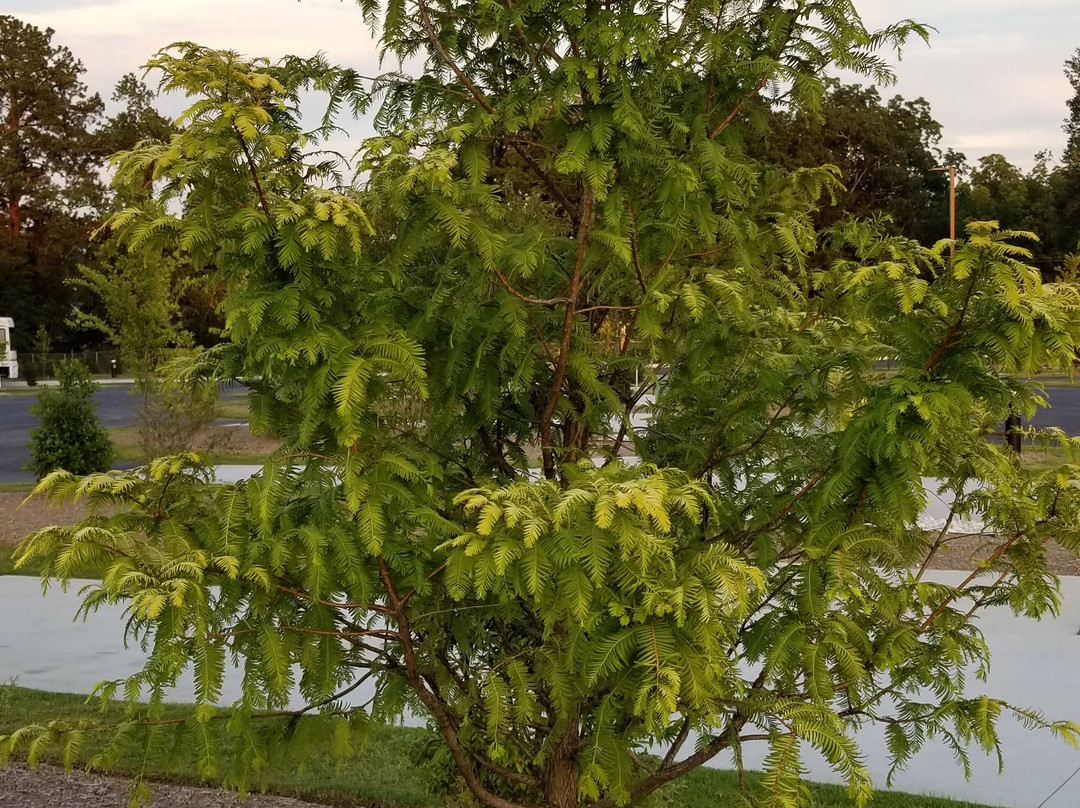 Lake City旅游攻略图片