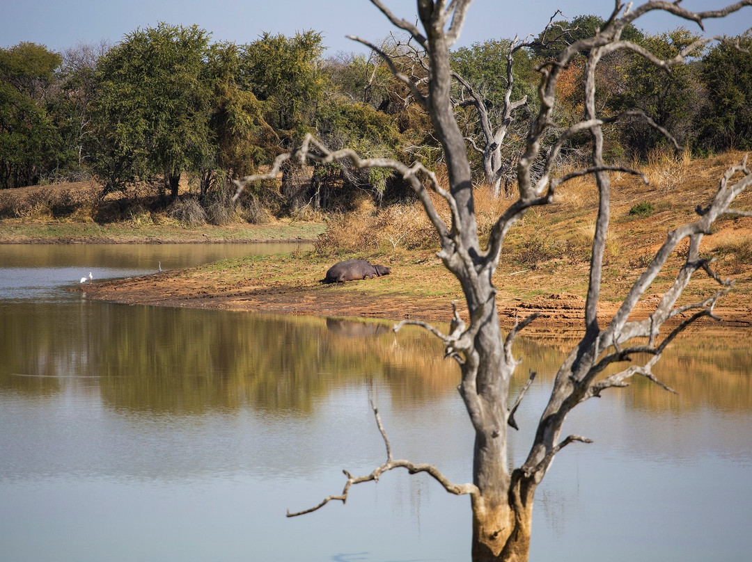 Mbbavala Lodge主图