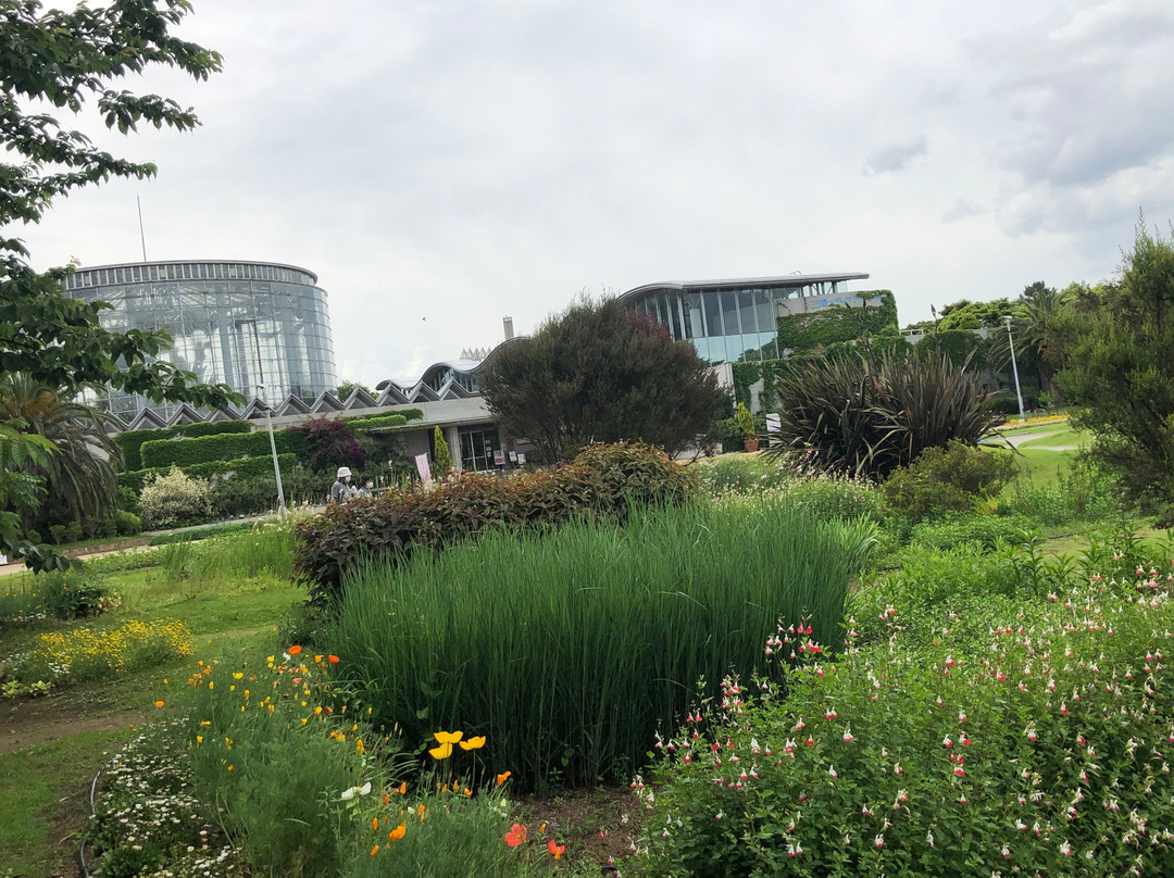Botanica Museum-千叶市必去景点