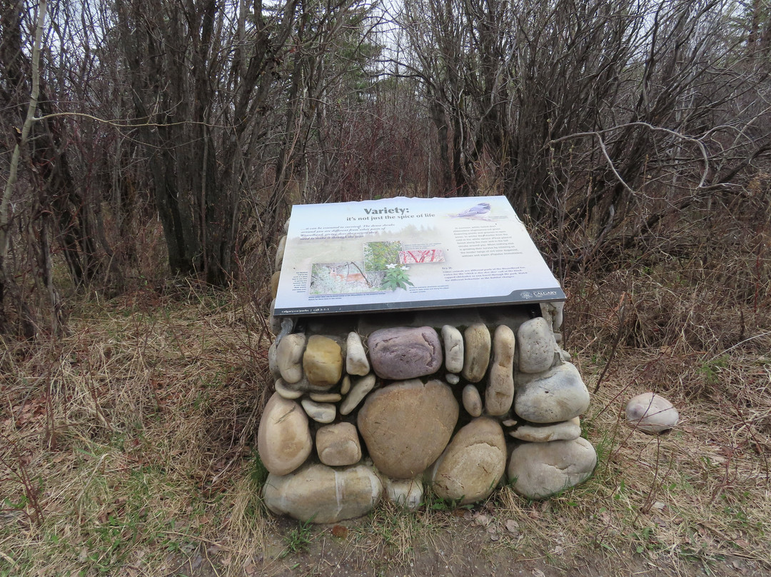 Weaselhead Flats-卡尔加里必去景点