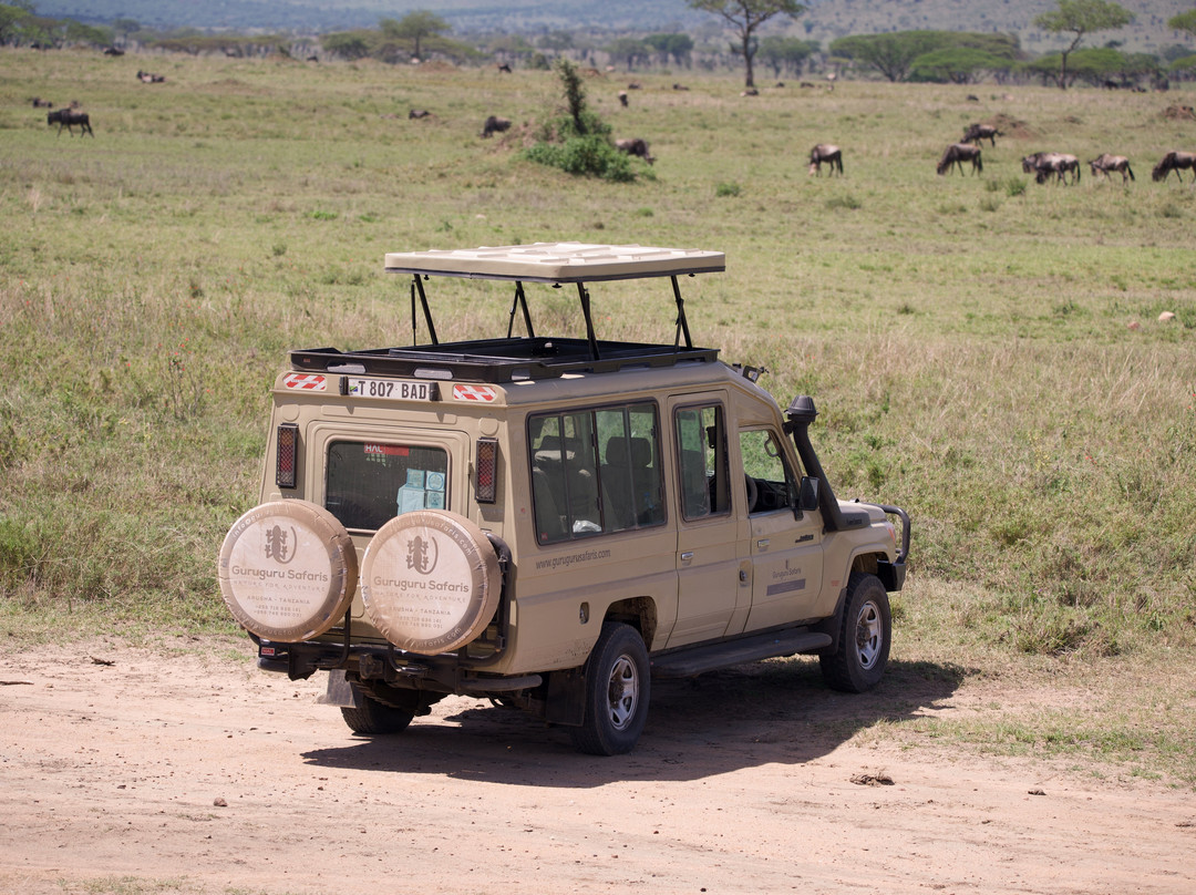Guruguru Safaris-阿鲁沙必去景点