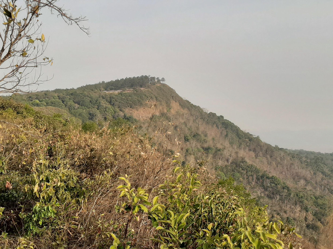 Phu Ruea National Park景点图片