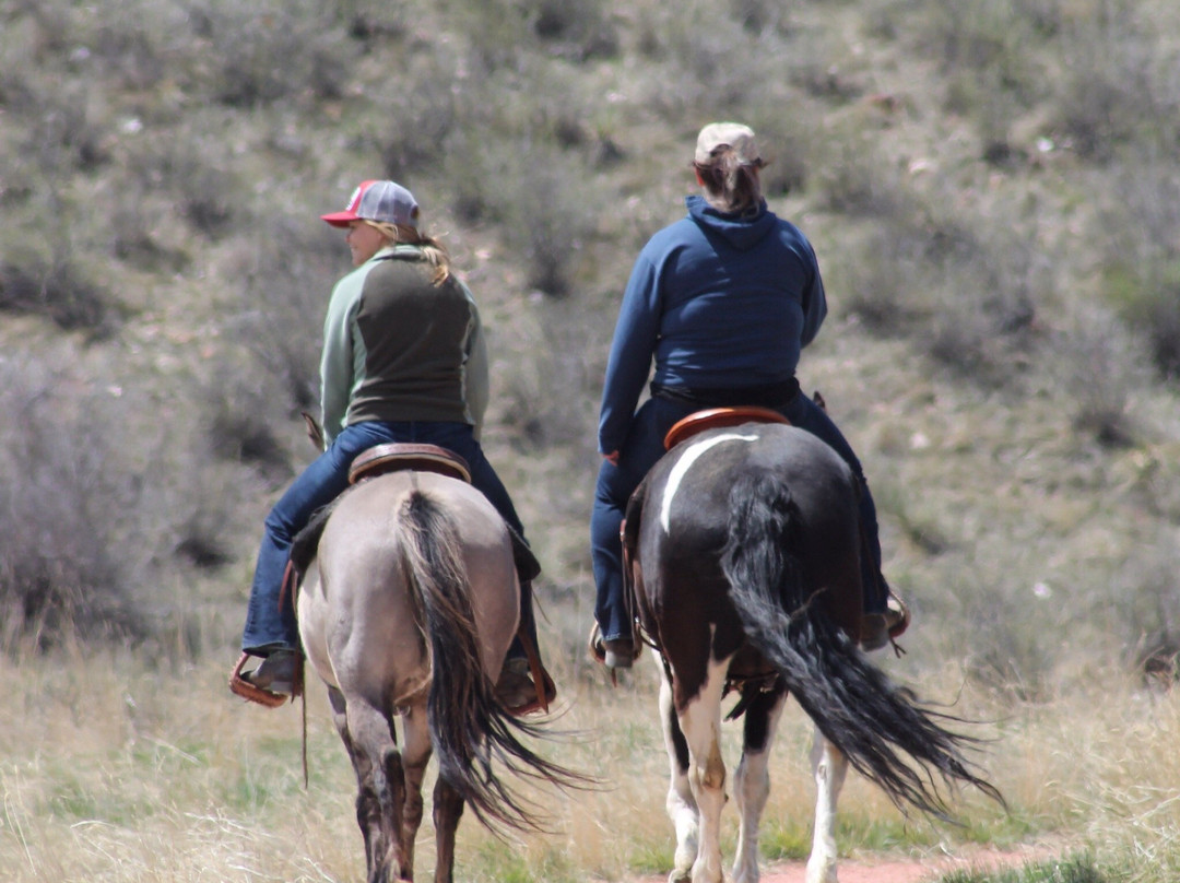 Red Mountain Open Space-Wellington必去景点