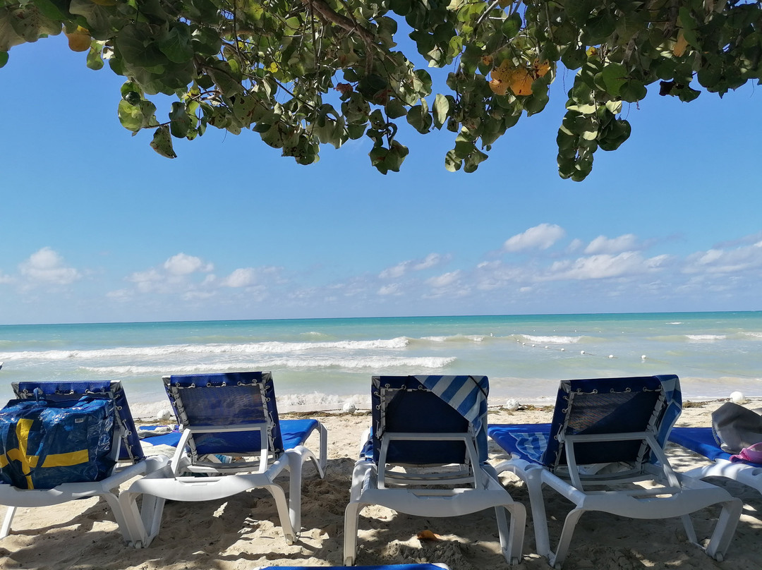 Merrils Beach Resort III主图