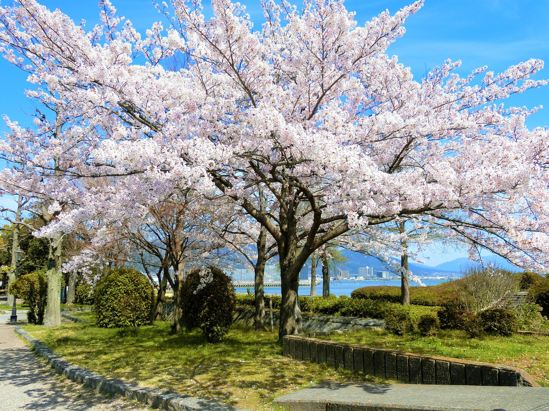 Otsu Lakeside Nagisa Park景点图片