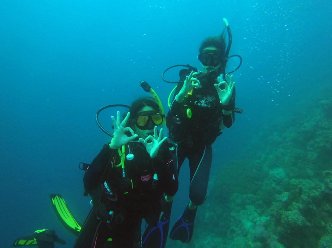 Hope Of Spring Dive-吉达必去景点