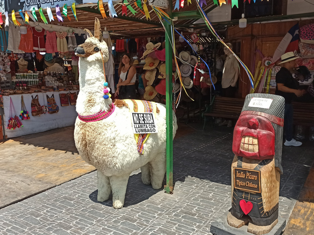 Baquedano Street-伊基克必去景点