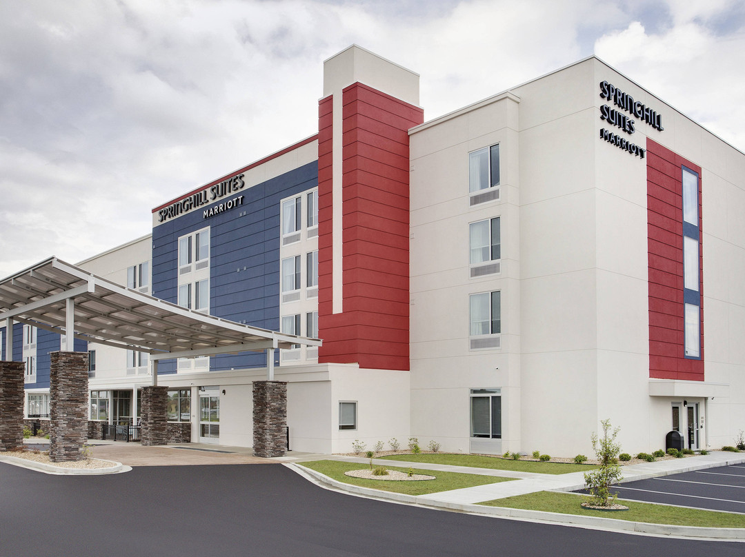 SPRINGHILL SUITES MURRAY主图