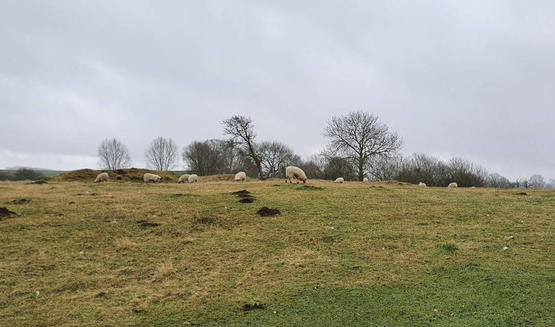 Fotheringhay Castle景点图片