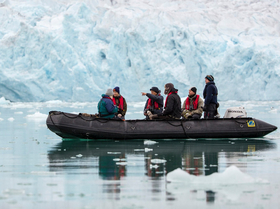 Arctic Wildlife Tours-朗伊尔城必去景点
