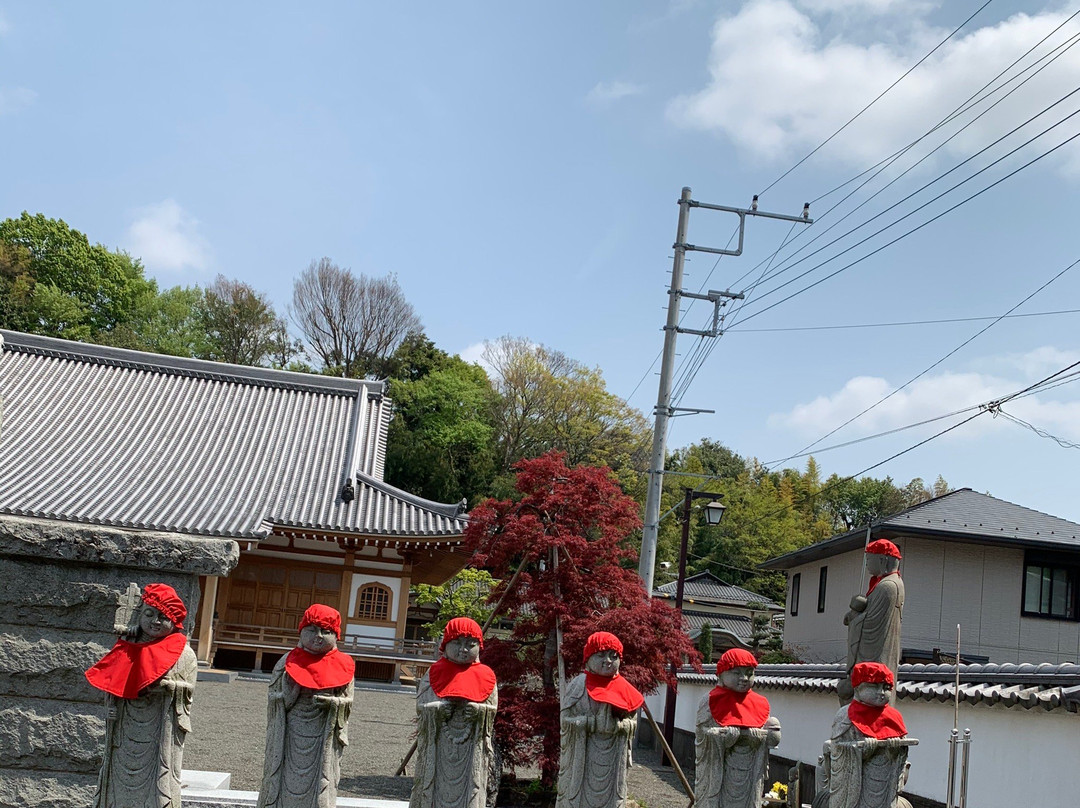 Ryugen-in Temple景点图片