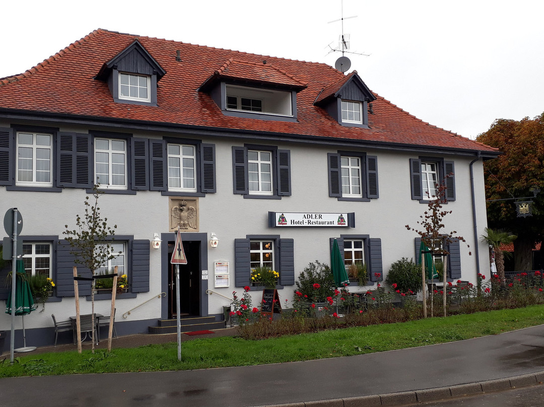 Hotel Landgasthof Adler主图