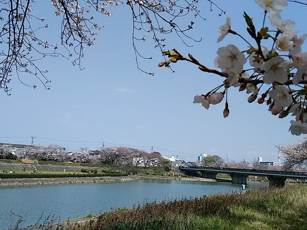 Kaizogawa Riverbank景点图片