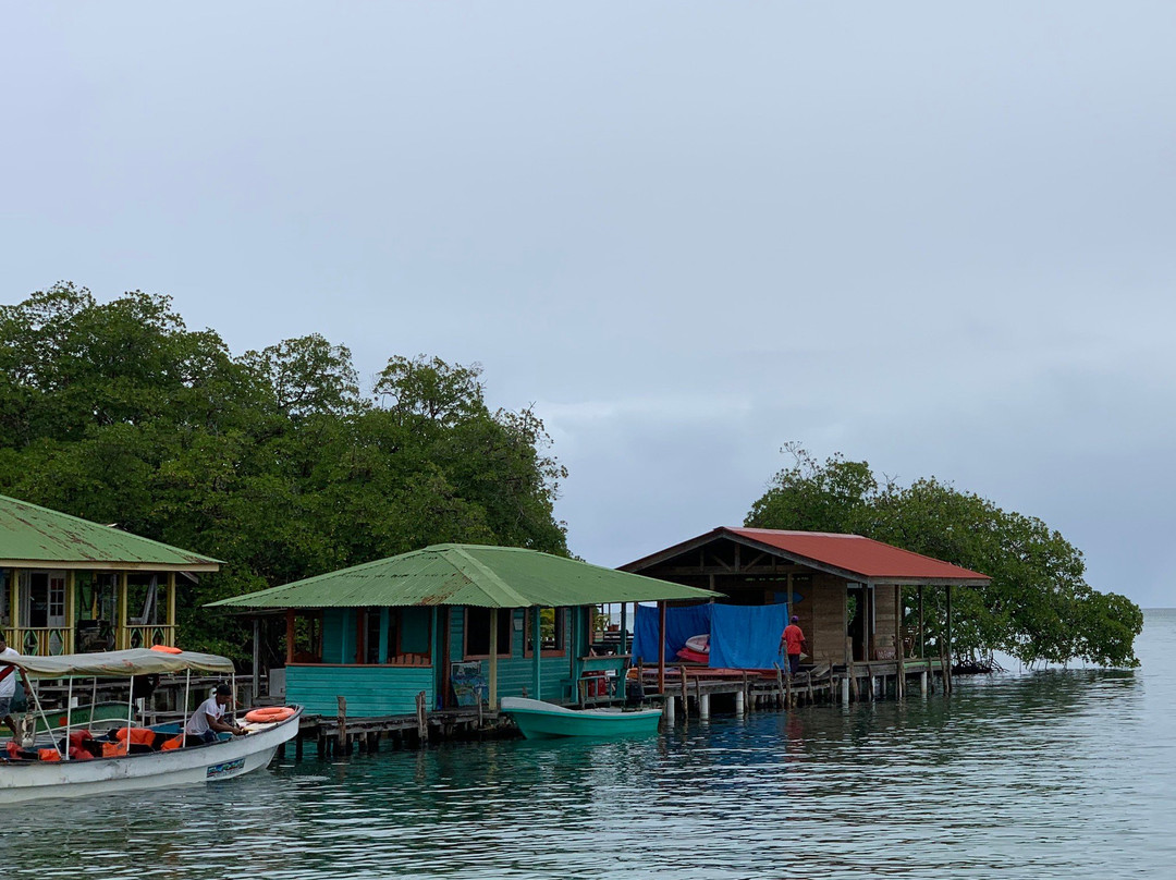 Crawl Cay (Kraal Cay)-博卡斯德尔托罗必去景点