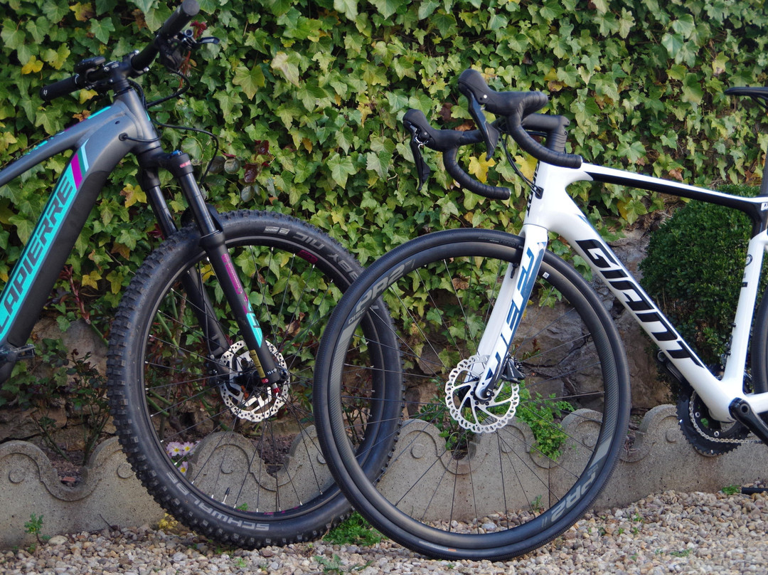 Aveyron à vélo景点图片