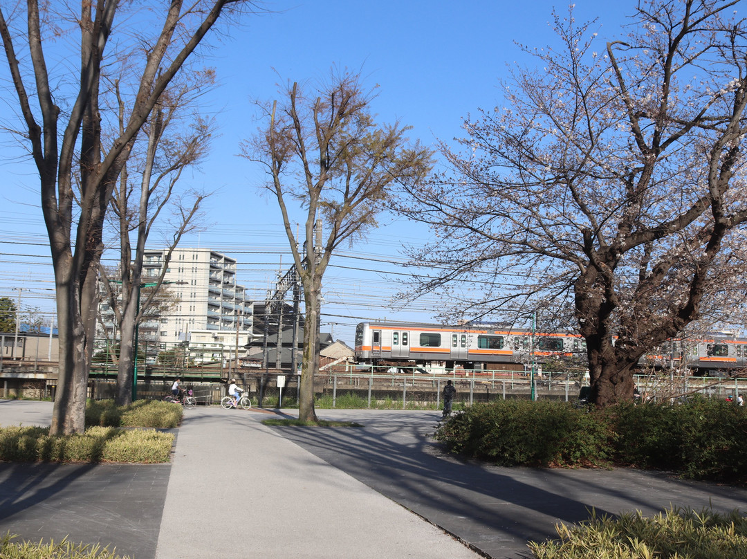 Shimogawara Green Pathway-府中市必去景点