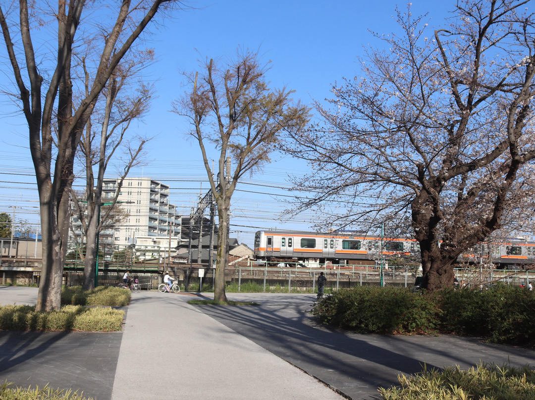 Shimogawara Green Pathway景点图片