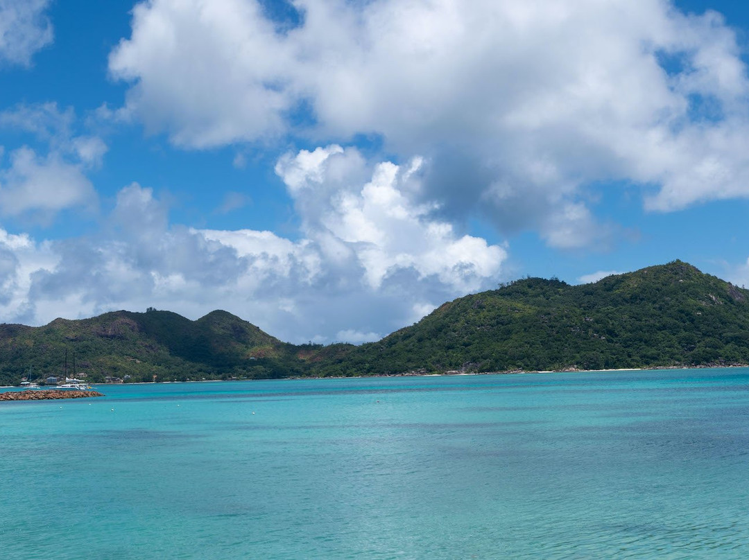 Colibri Guesthouse主图