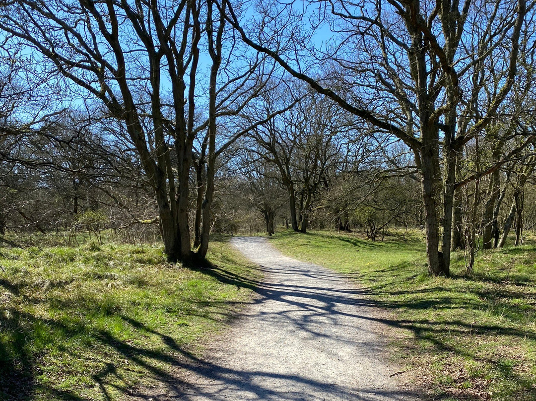 Duinreservaat Meijendel-Kievietsduin-Wassenaar必去景点