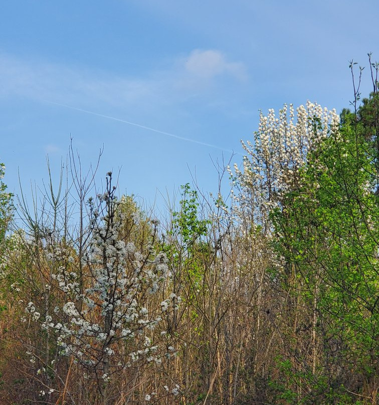 Cleveland Bradley County Greenway景点图片