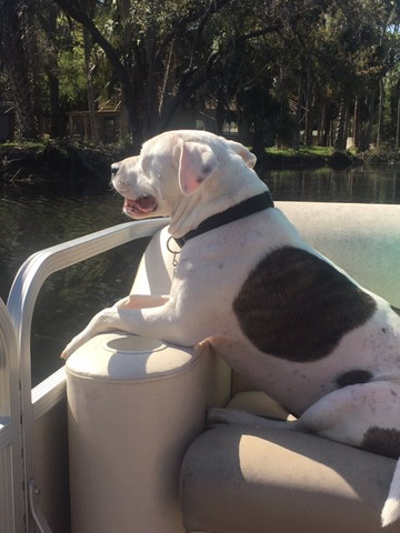 Captain Rick's Fishing Charters-Yankeetown必去景点