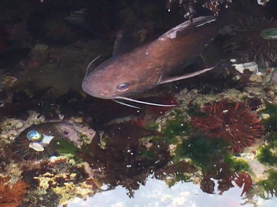 The Beach House主图