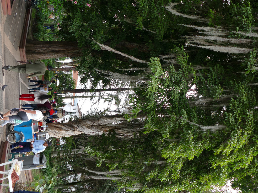 Parque Caldas-Popayan必去景点