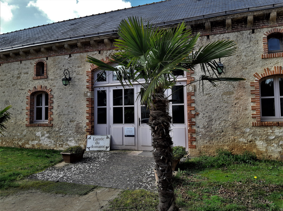 Château de Tigné Vins Gérard Depardieu景点图片